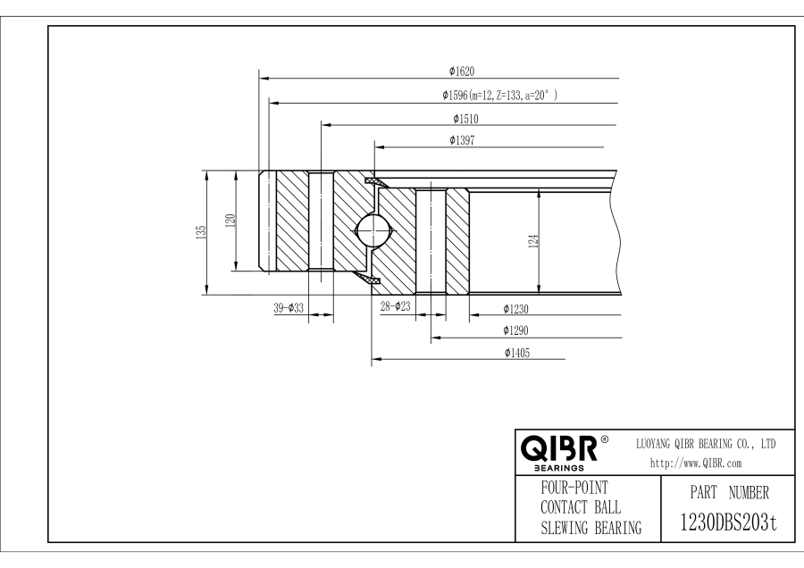 1230DBS203t