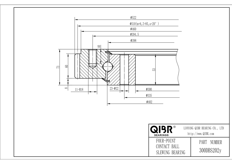 300DBS202y